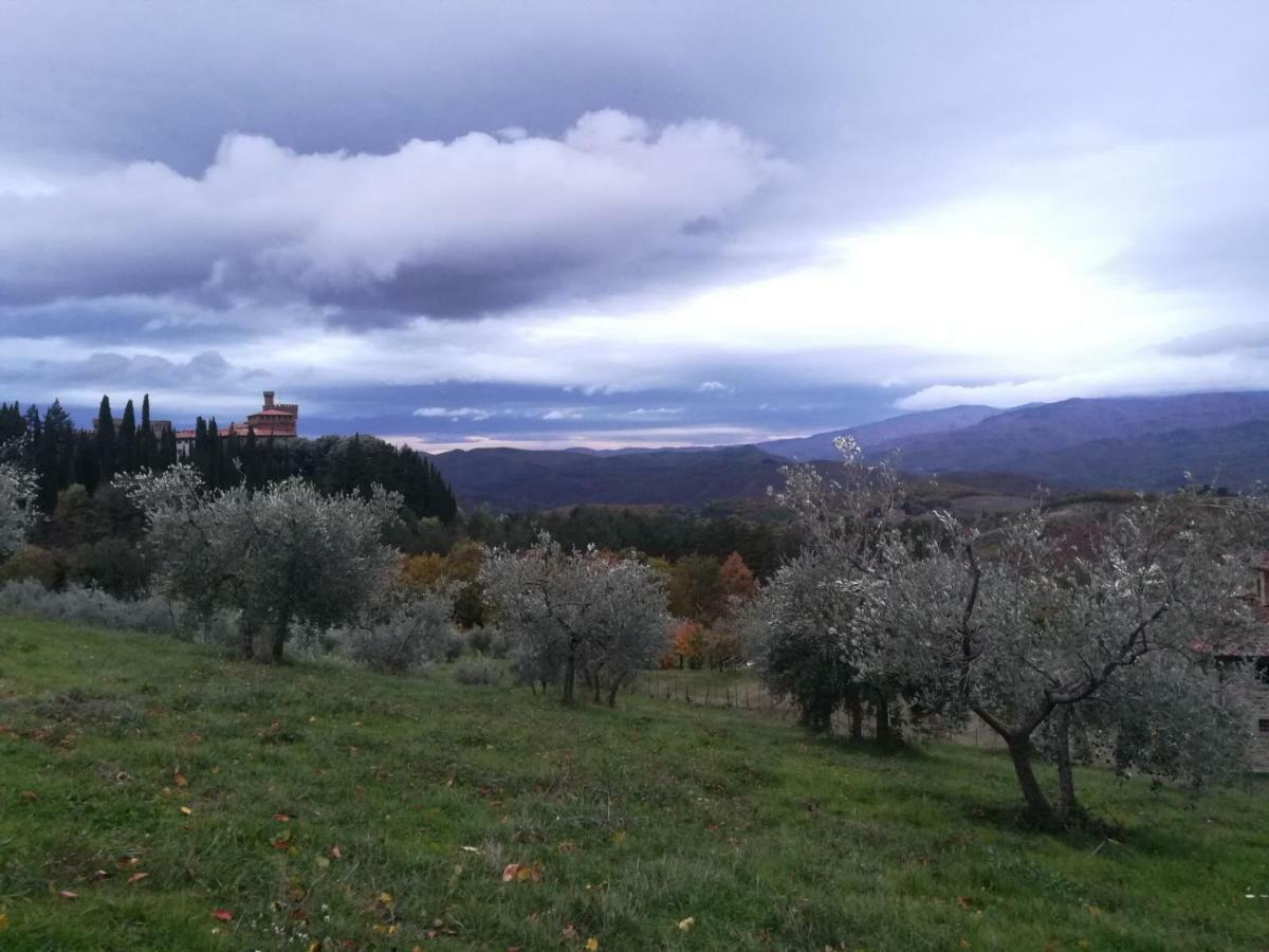 Castello Di Valenzano Villa Arezzo Exteriör bild